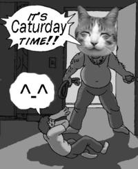 Its_caturday_time