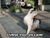 LOLcats