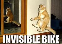 LOLcats