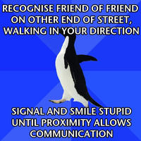 Socially Awkward Penguin
