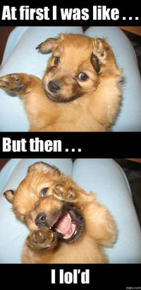 At First I Was Like...
