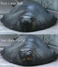 At First I Was Like...