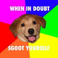 Advice Dog