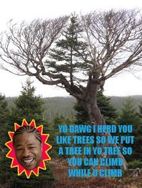 Xzibit Yo Dawg