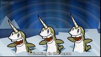 Narwhals Narwhals