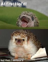 At First I Was Like...