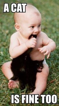 A cat is fine too....