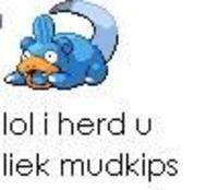 I Herd U Like Mudkips
