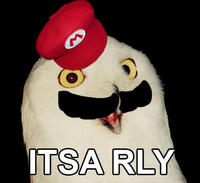 O RLY?