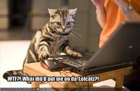 LOLcats