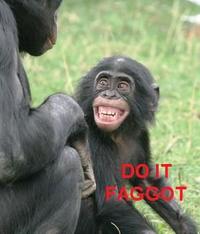 Do_it_monkeys