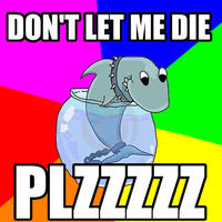 Rhyming pet Shark