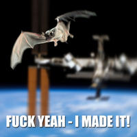 Space Bat