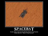 Space Bat