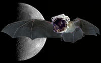 Space Bat