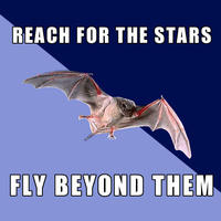 SpaceBat