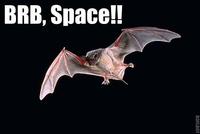 Space Bat