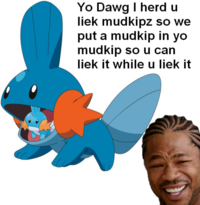 I Herd U Like Mudkips