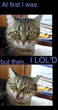 At First I Was Like...