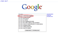 Google Search Box Suggestions