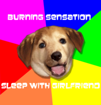 Advice Dog