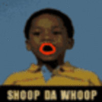 Shoop Da Whoop / I’M A’ FIRIN’ MAH LAZER!!