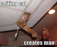 Ceiling Cat