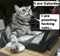 Caturday