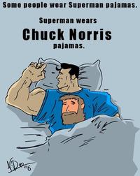 Chuck Norris Facts