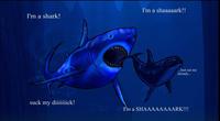 The Singing Shark