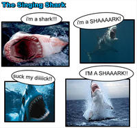 The Singing Shark