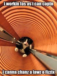 LOLcats