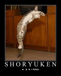 LOLcats