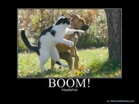 Boom Headshot!