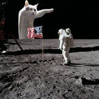 Longcat
