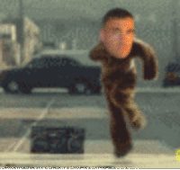 Breakdancing Bear
