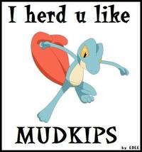 I Herd U Like Mudkips