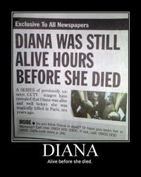 Demotivational Posters