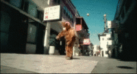 Breakdancing Bear