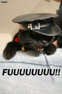 LOLcats