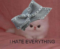 Aretha's Hat