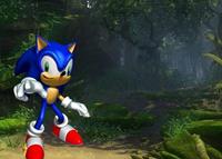 DSS : Down Syndrome Sonic