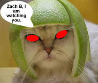 Limecat