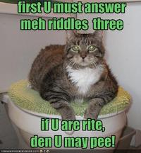 LOLcats