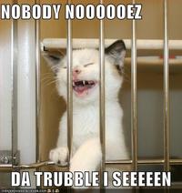LOLcats