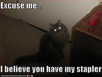 I Believe You Have My Stapler