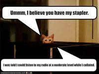 I Believe You Have My Stapler