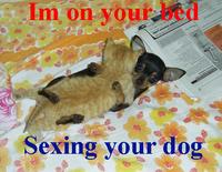 In Ur Base