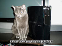 LOLcats