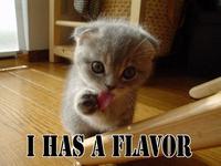 LOLcats